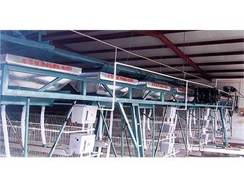 蛋、種雞自動(dòng)給料機(jī)